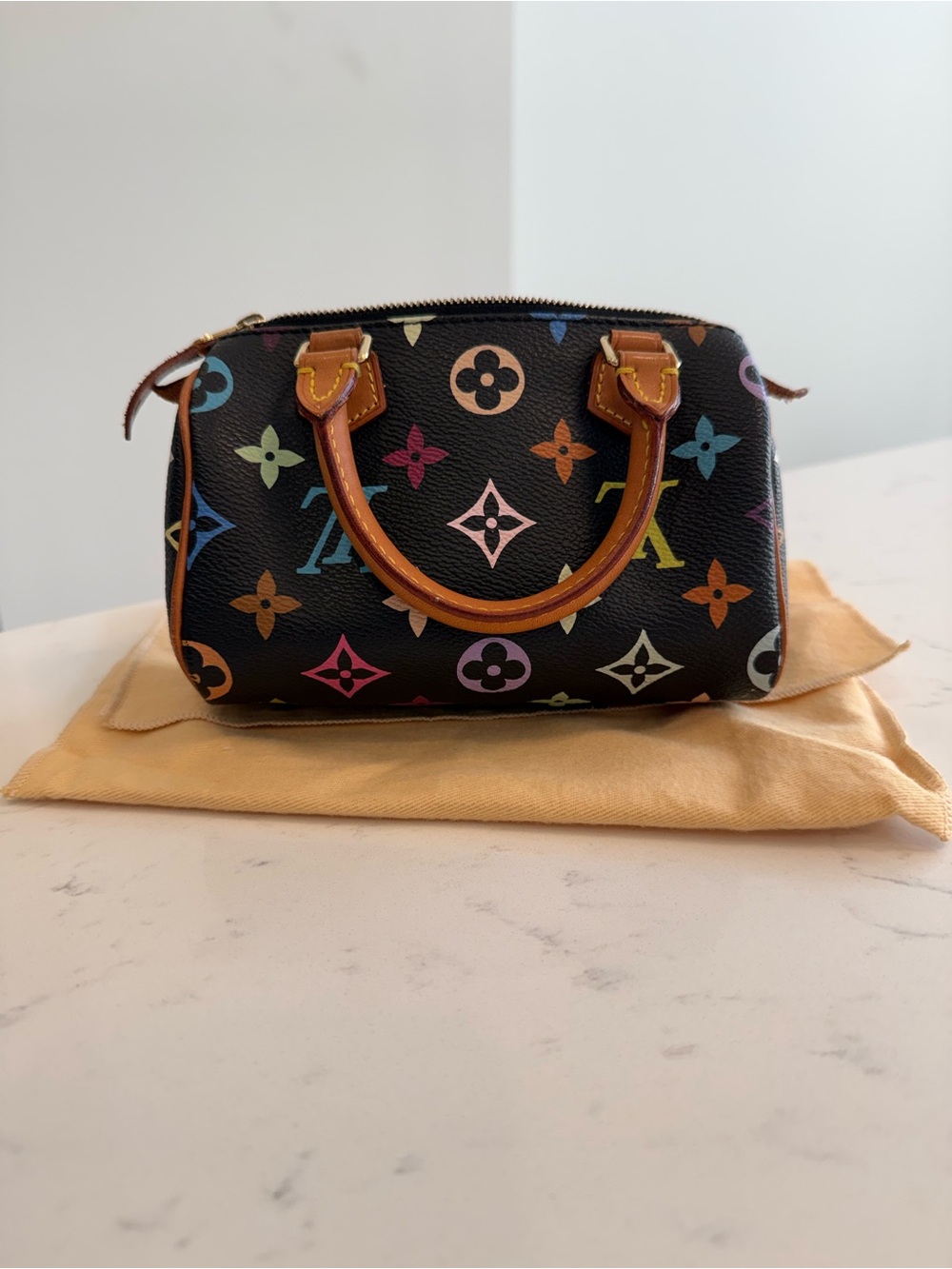 Louis Vuitton Multicolor Mini Speedy